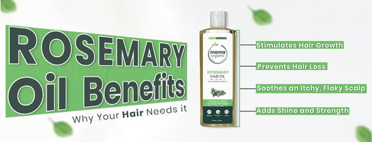 Rosemary Oil Benefits: Why Your Hair Needs It