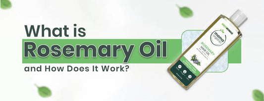 What is Rosemary Oil and How Does It Work
