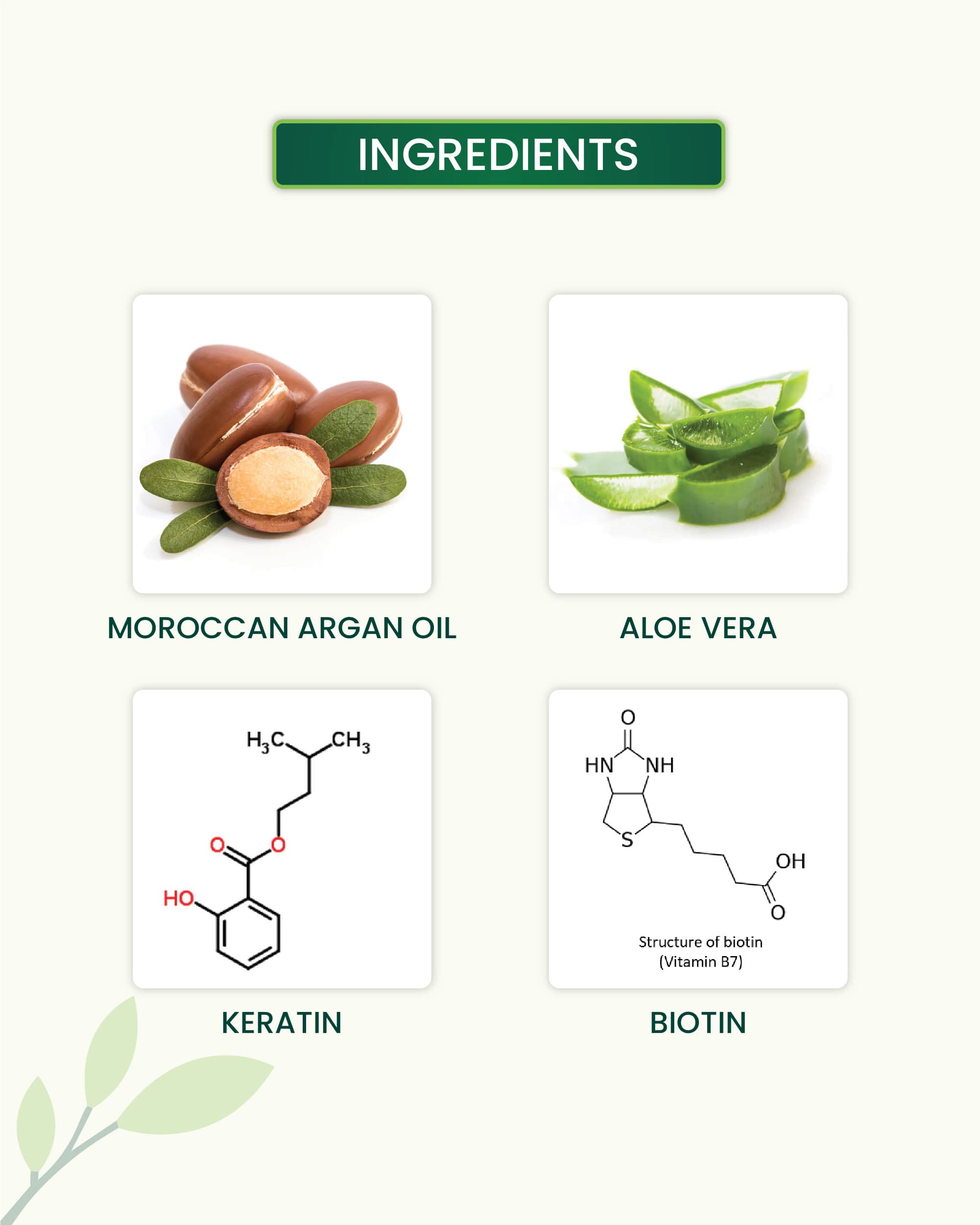 Argan Shampoo Key Ingredients