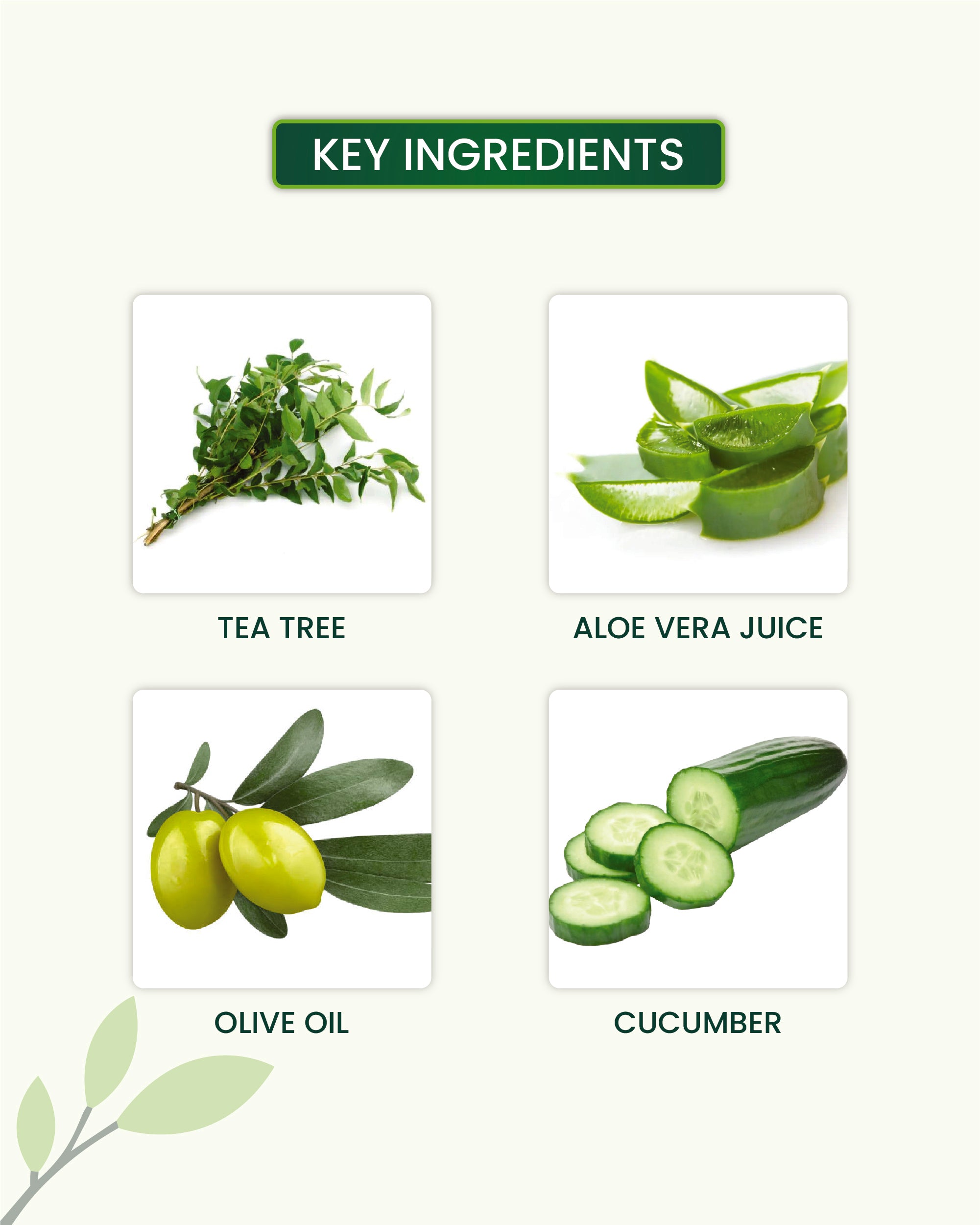 Daily Intimate Wash Key Ingredients