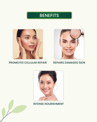 Shea Body Butter Benefits