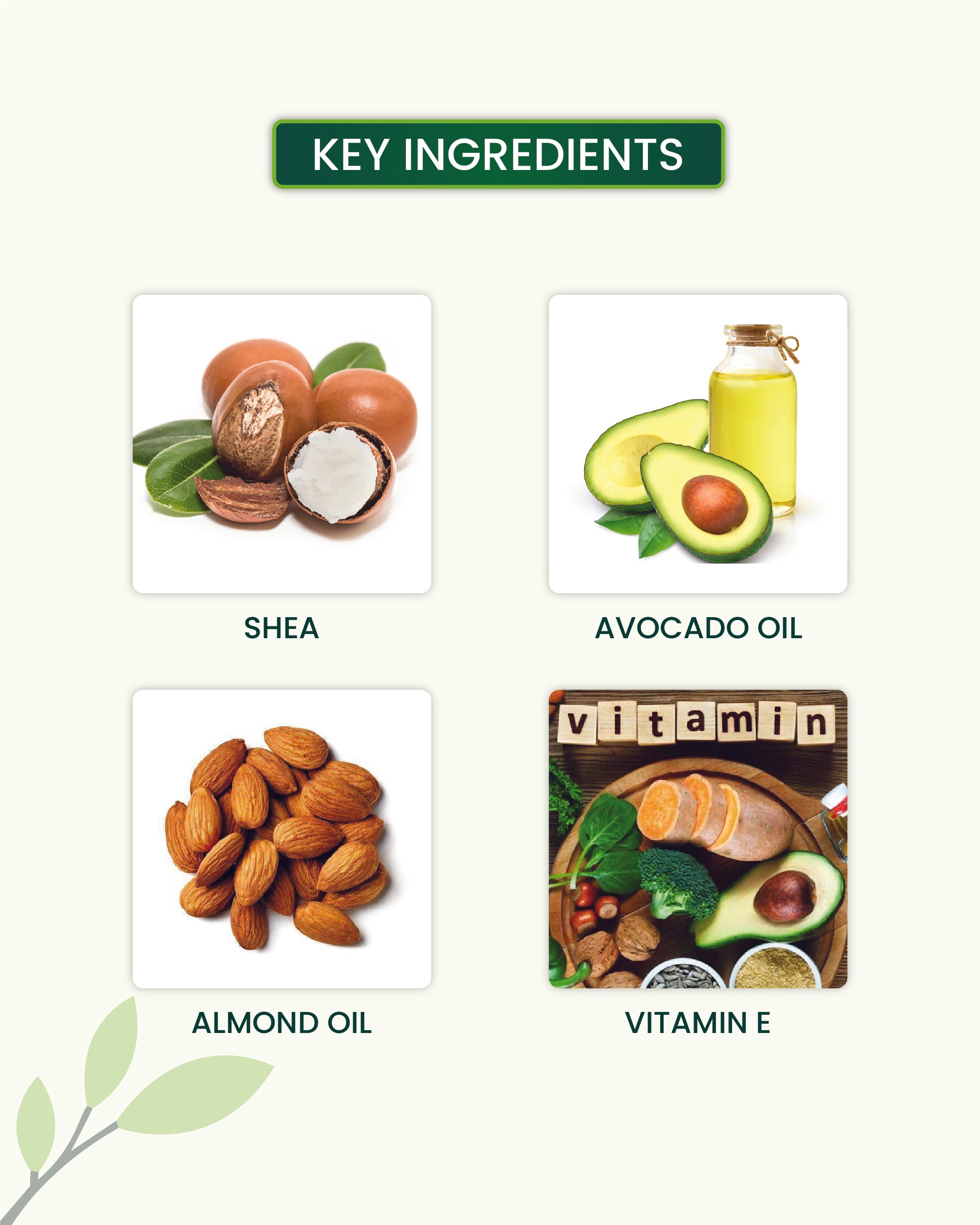 Shea Body Butter Key Ingredients