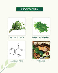 Tea Tree Face Wash Key Ingredients