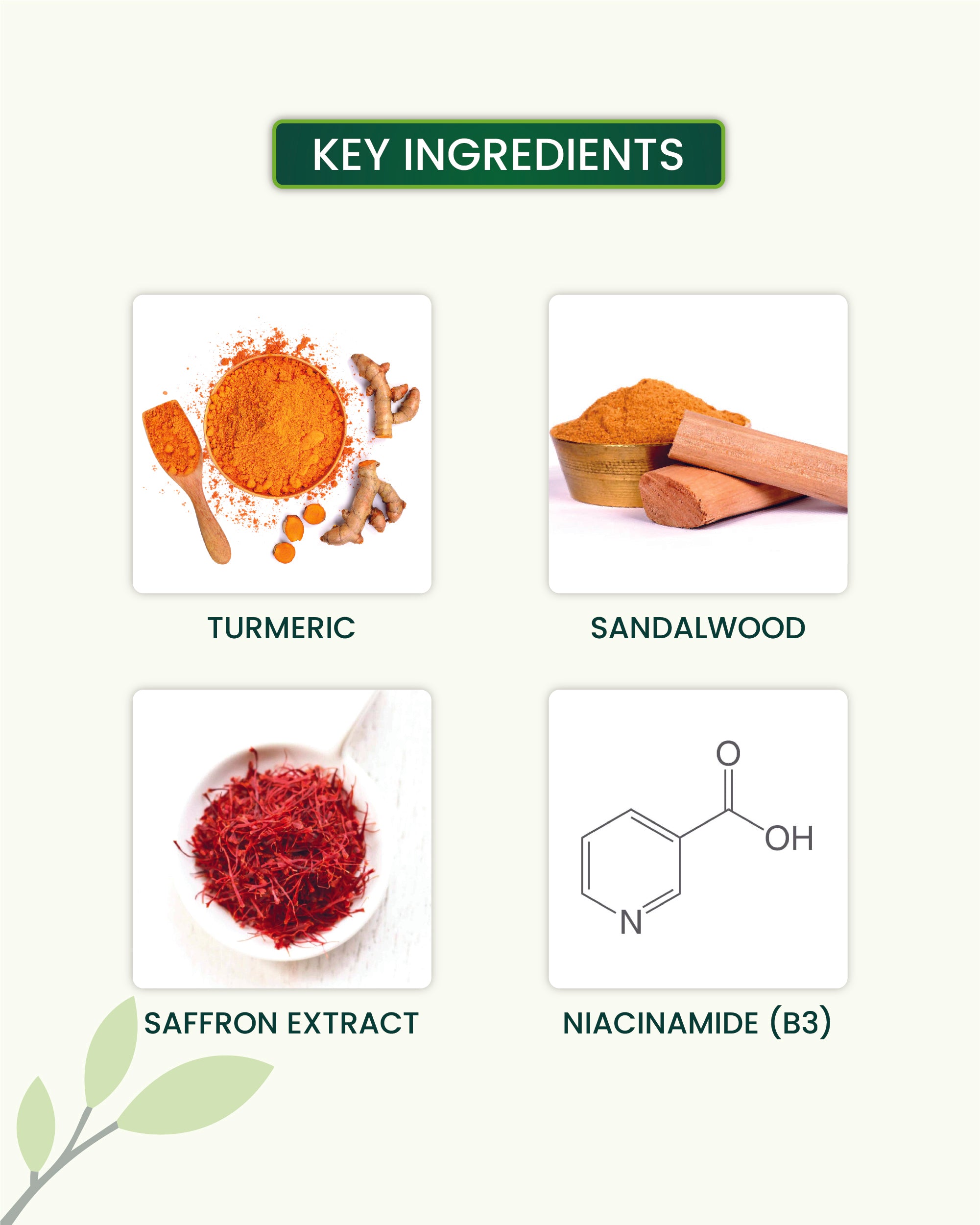 Ubtan Body Wash Key Ingredients