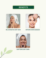 Vitamin C Body Butter Instant moisturizing & Glow Skin With Vitamin C & Shea Butter - 100g - MamaOrganic