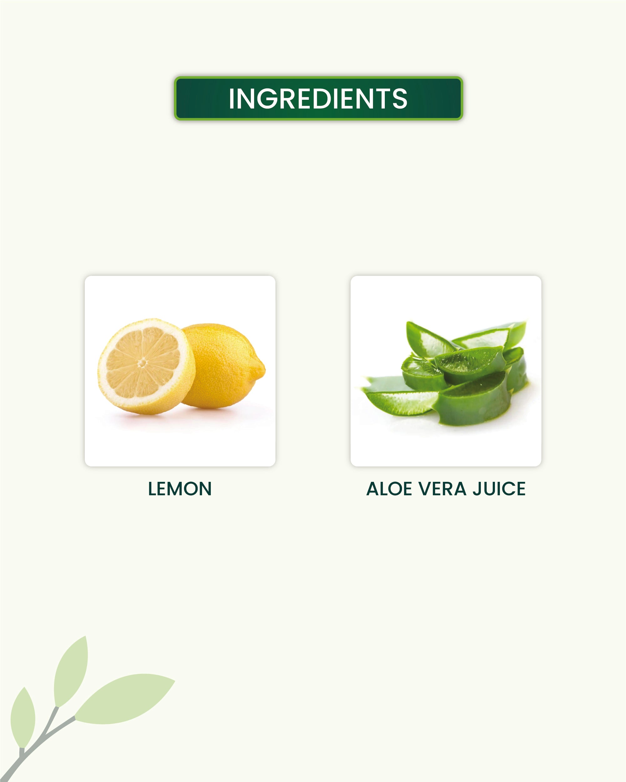 Aloe Vera Gel Key Ingredients