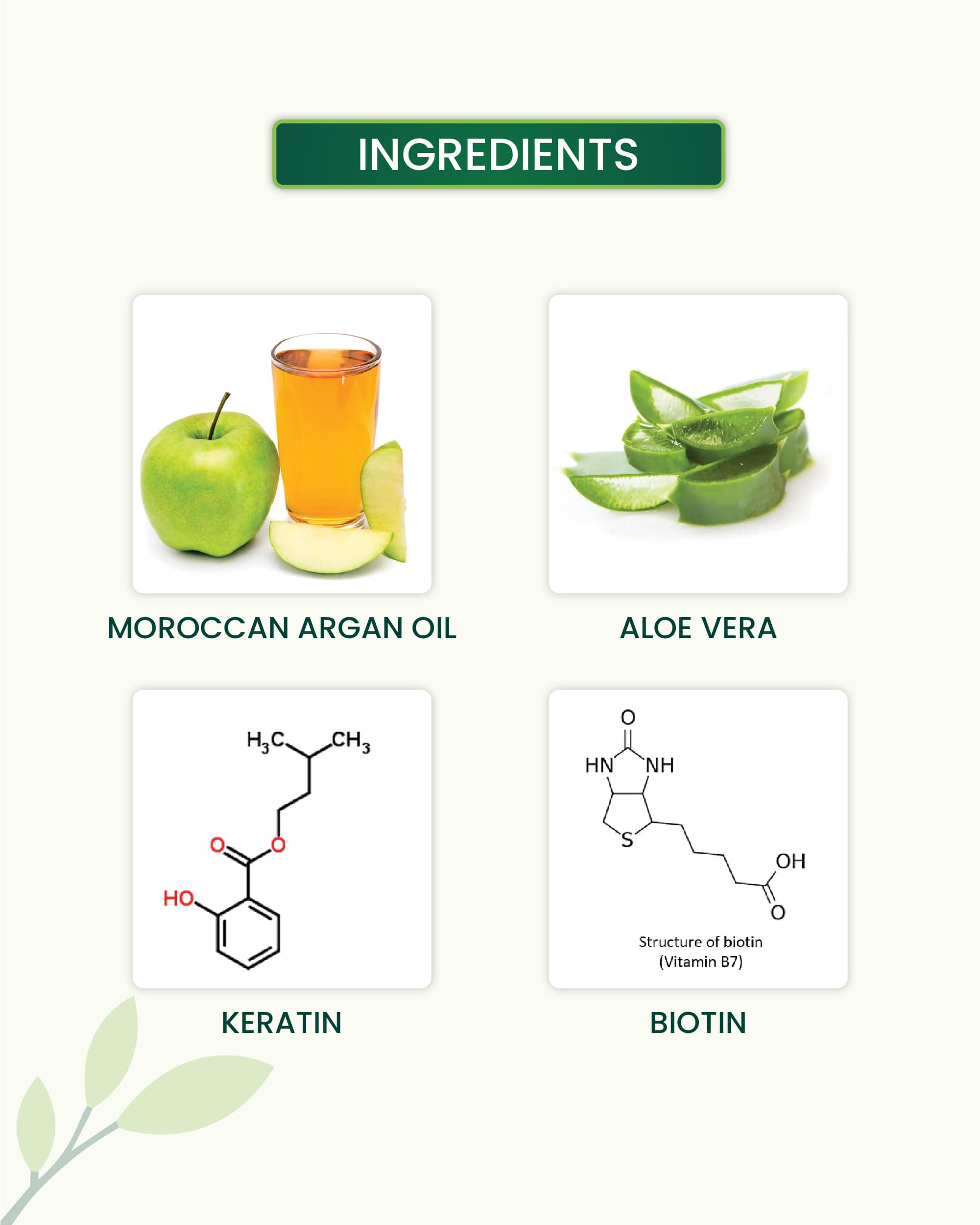 Anti-Dandruff Shampoo Key Ingredients