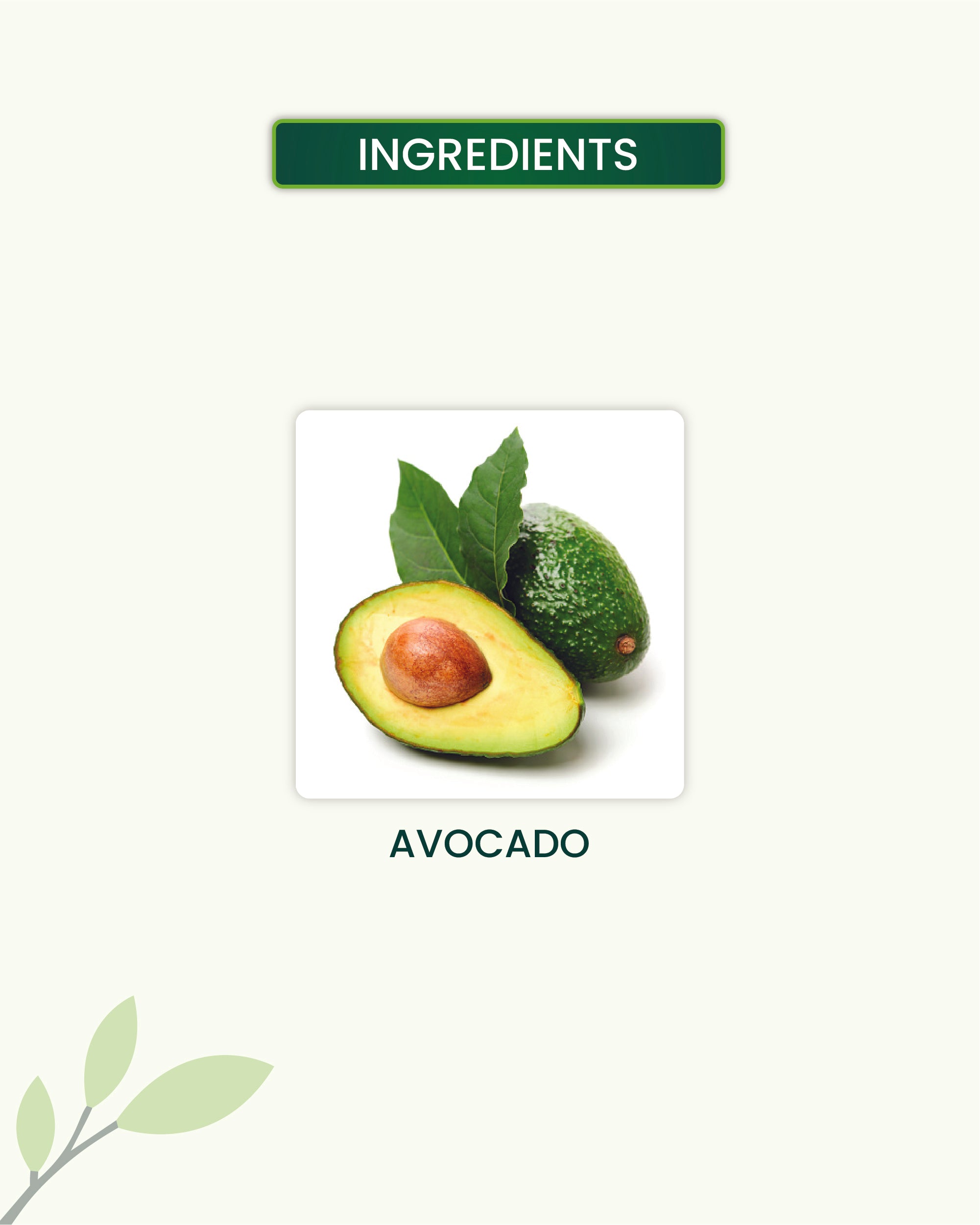 Avocado Oil Key Ingredients