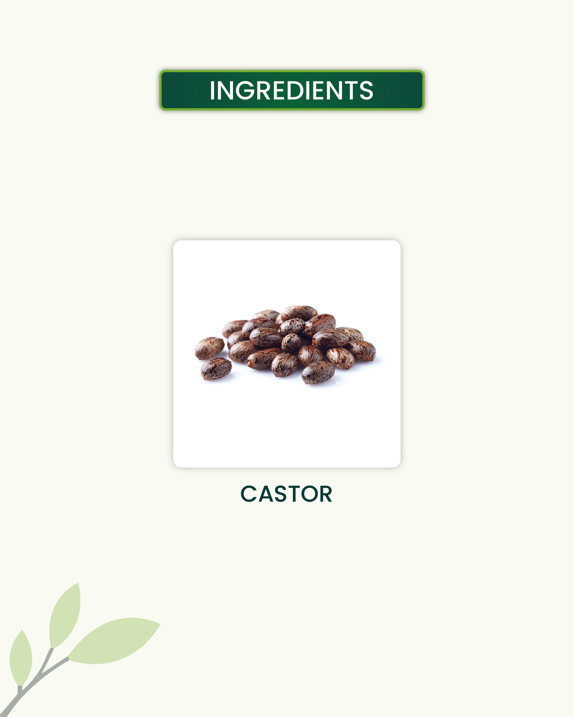 Castor Oil Key Ingredients