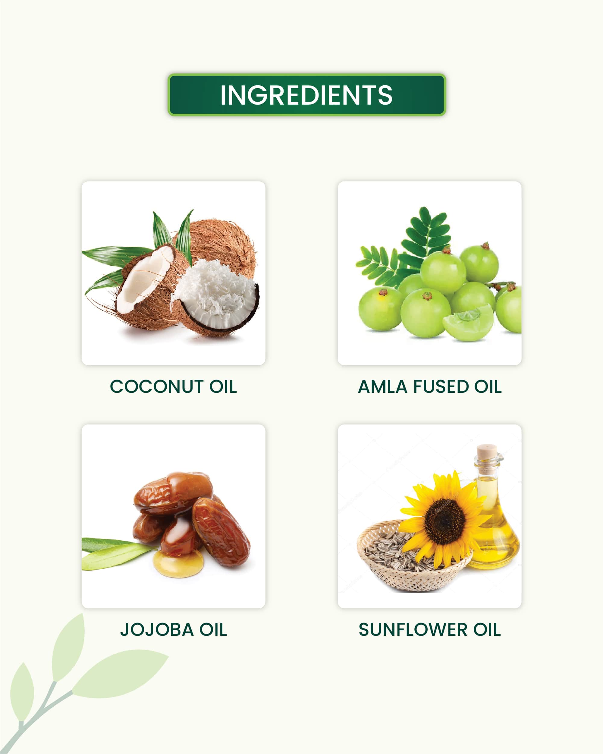 Coco Amla Hair Oil Key Ingredients