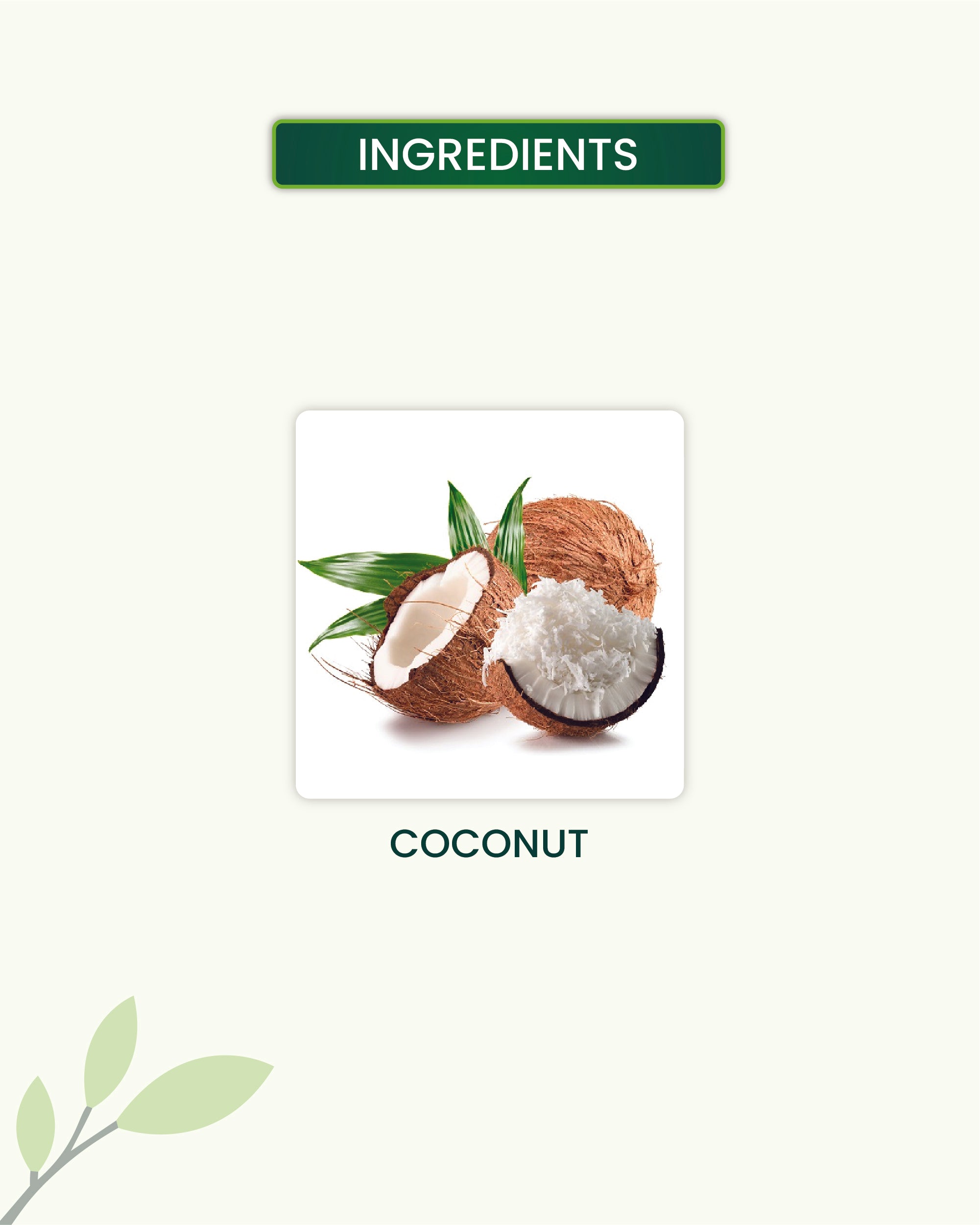 Coconut Oil Key Ingredients