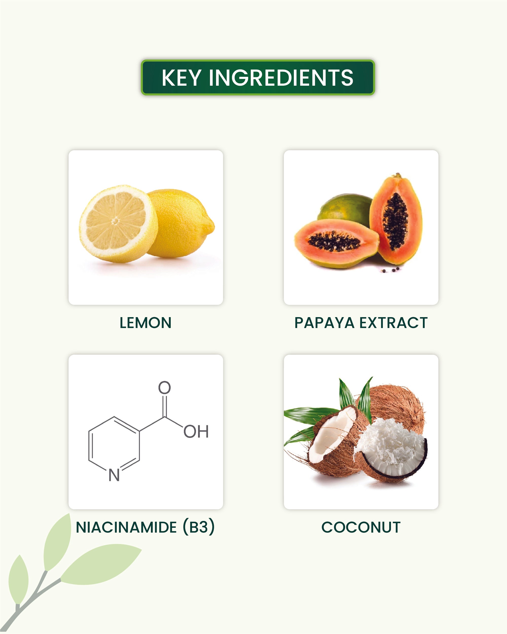 Daily Facial Cleanser Key Ingredients