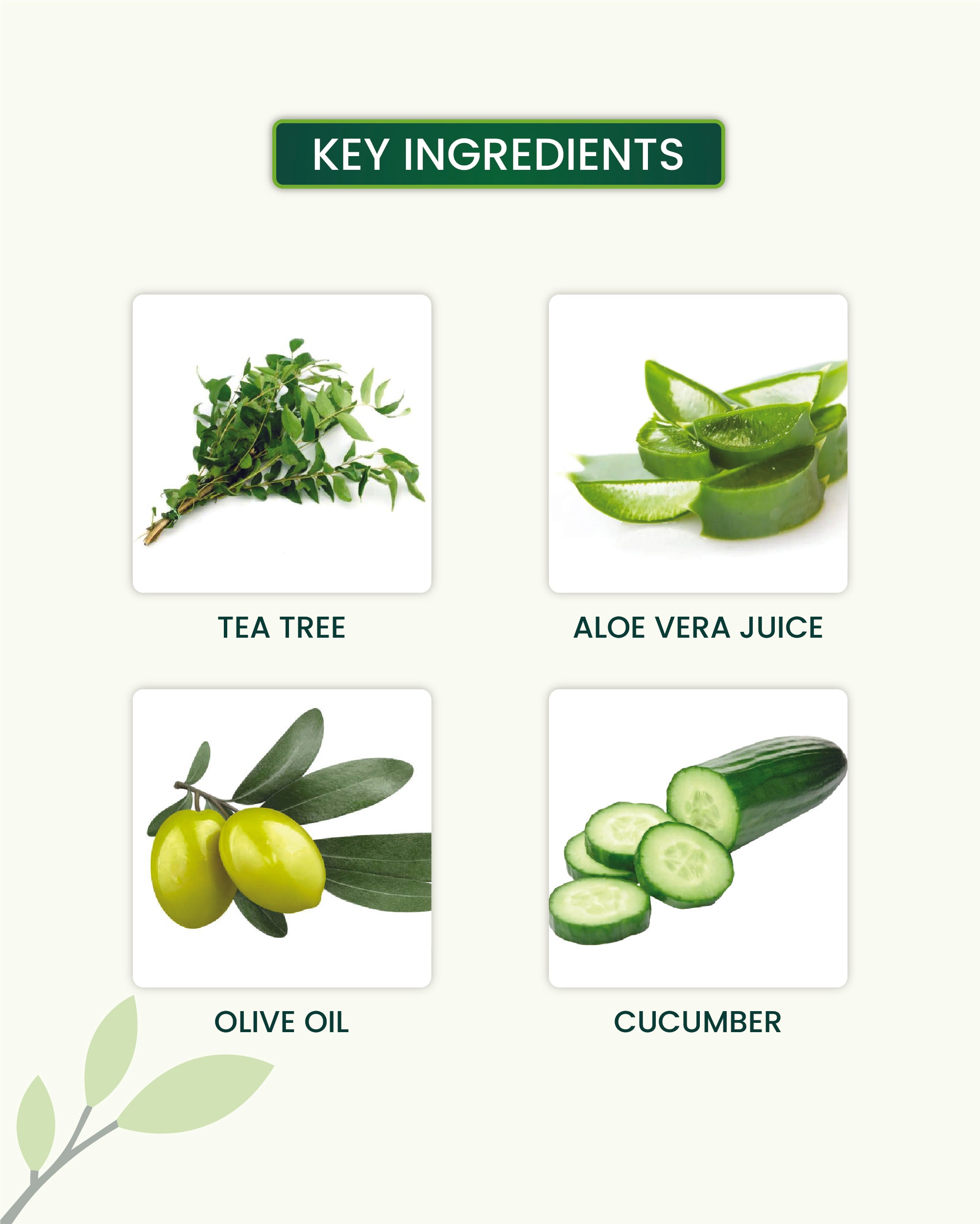 Daily Intimate Wash Key Ingredients