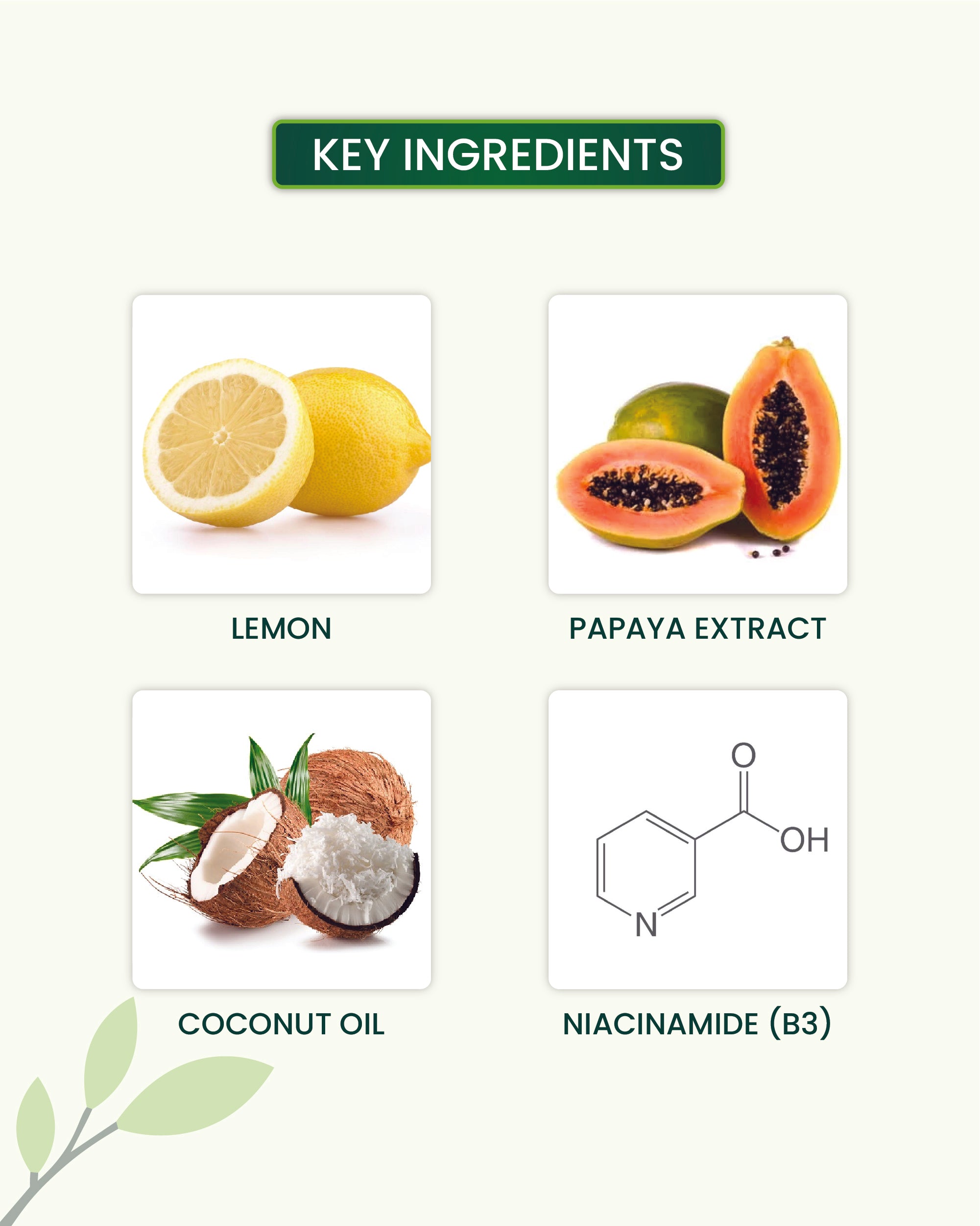 Daily Oil Free Face Moisturizer 80ml Key Ingredients