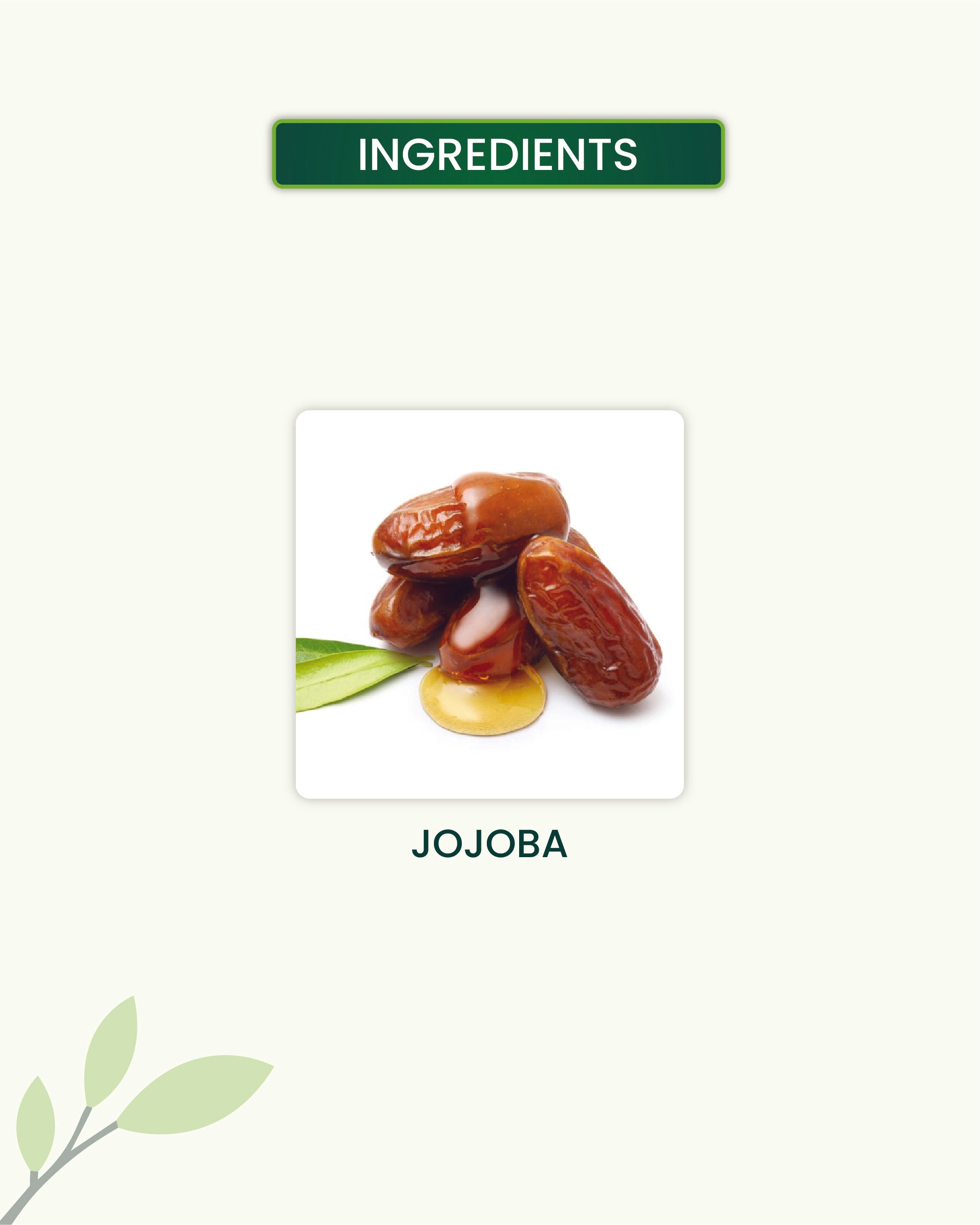 Jojoba Oil Key Ingredients