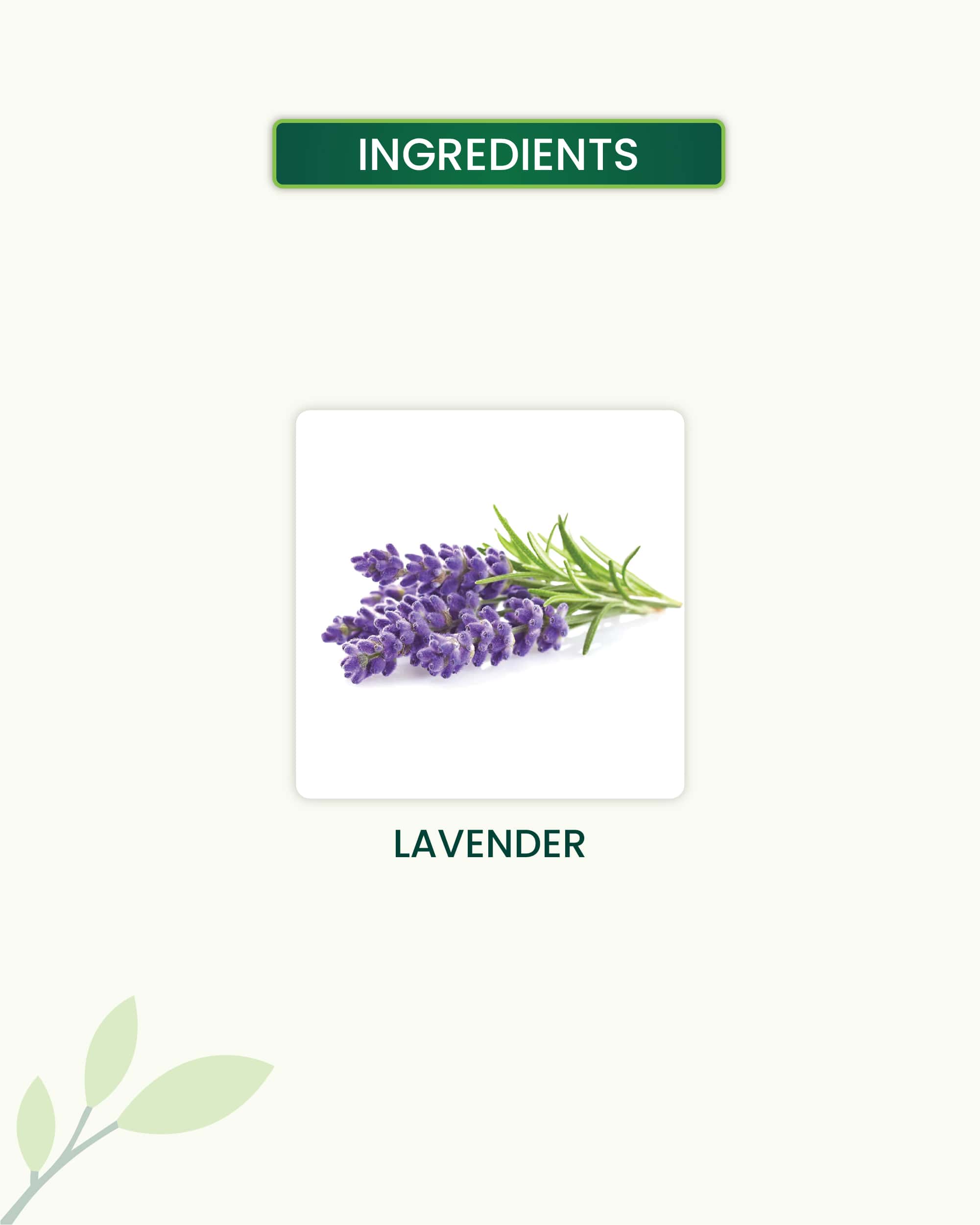 Lavender Essential Oil Key Ingredients