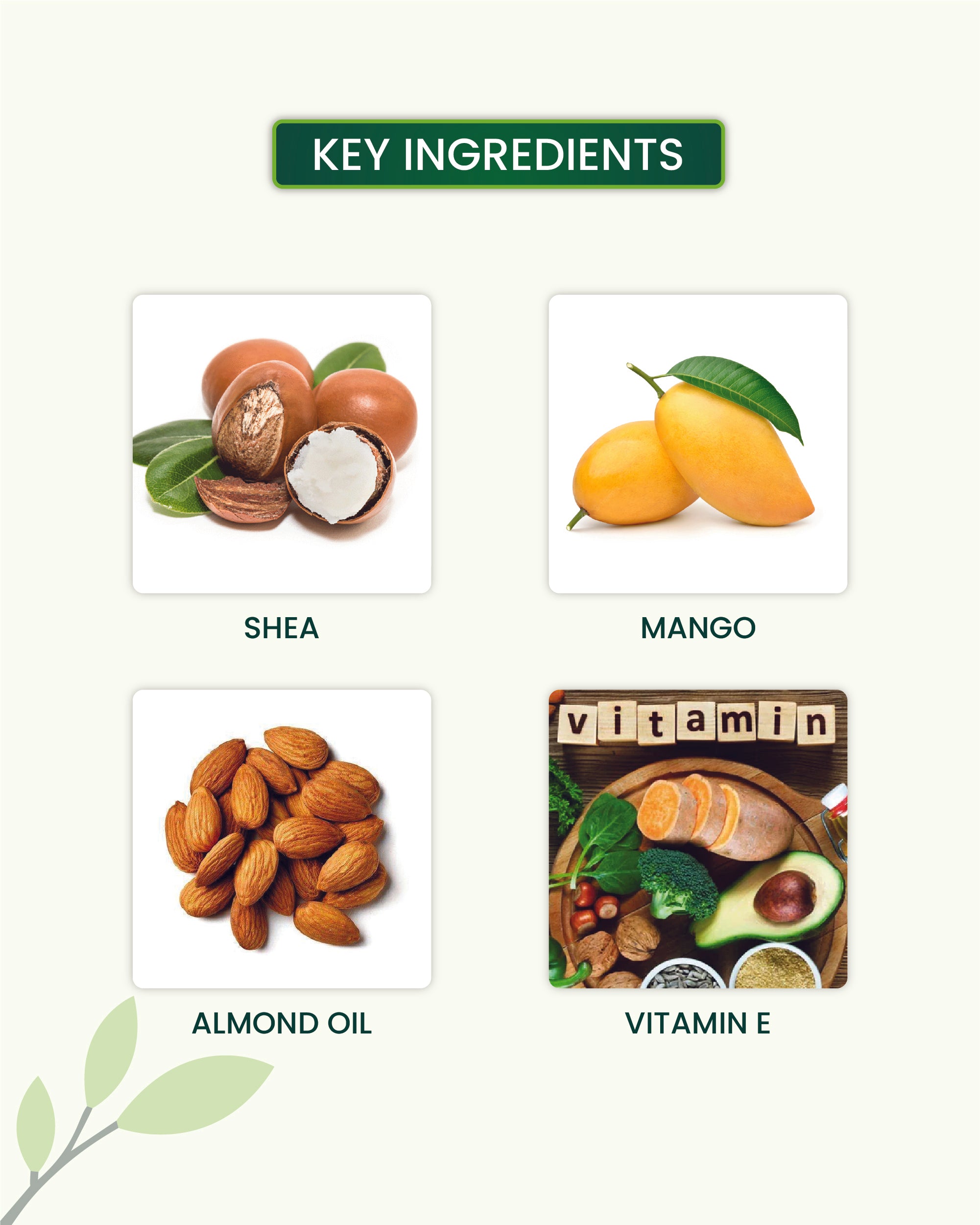 Mango Body Butter Key Ingredients