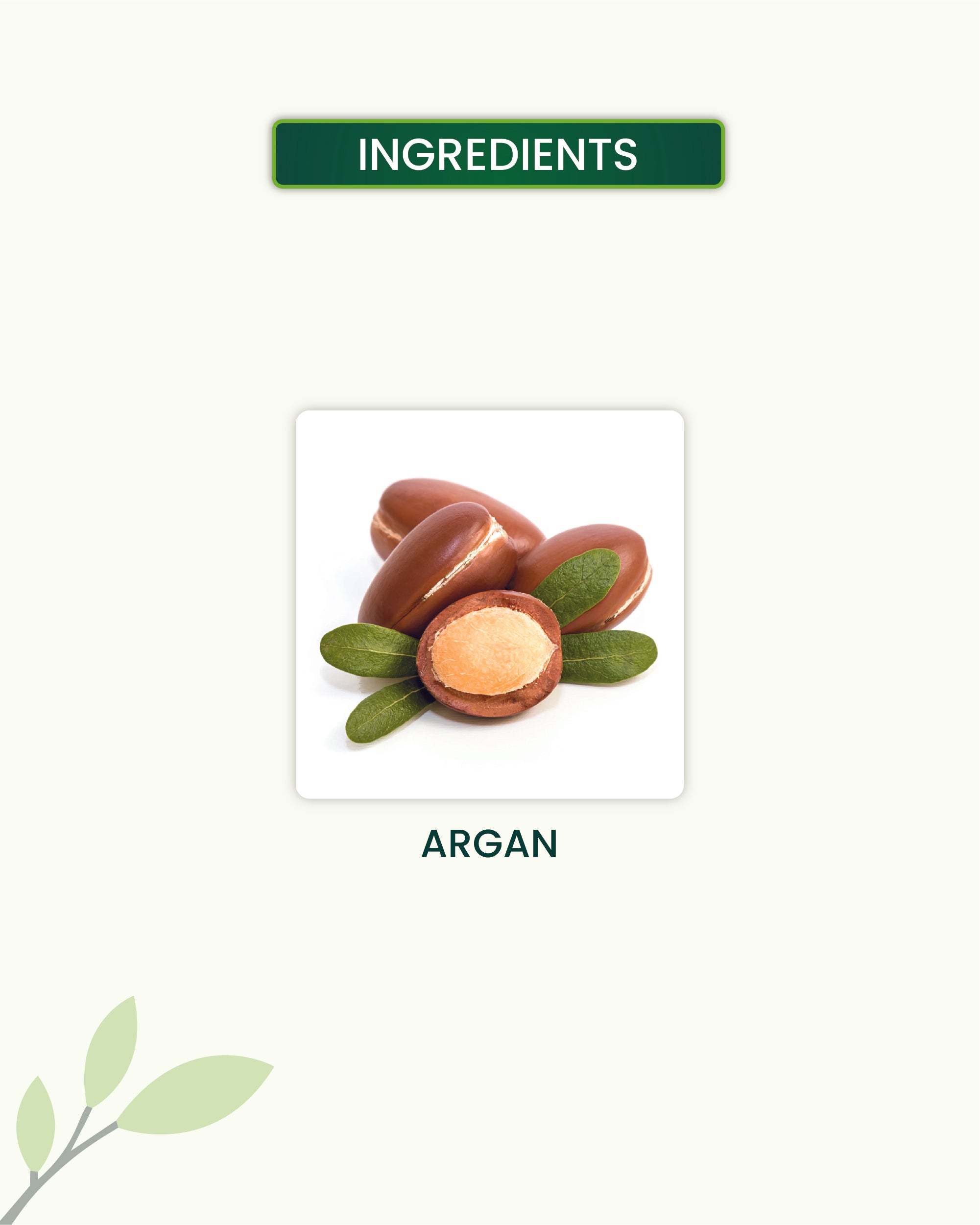 Moroccan Argan Oil Key Ingredients
