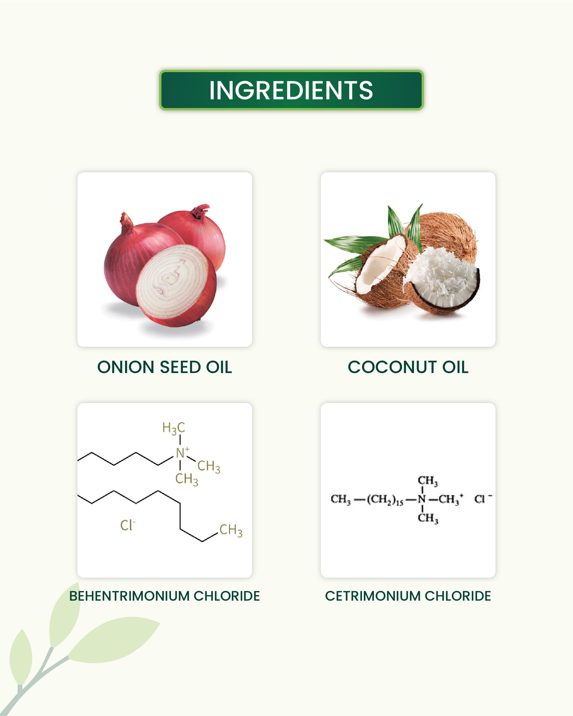 Onion Hair Conditioner Key Ingredients
