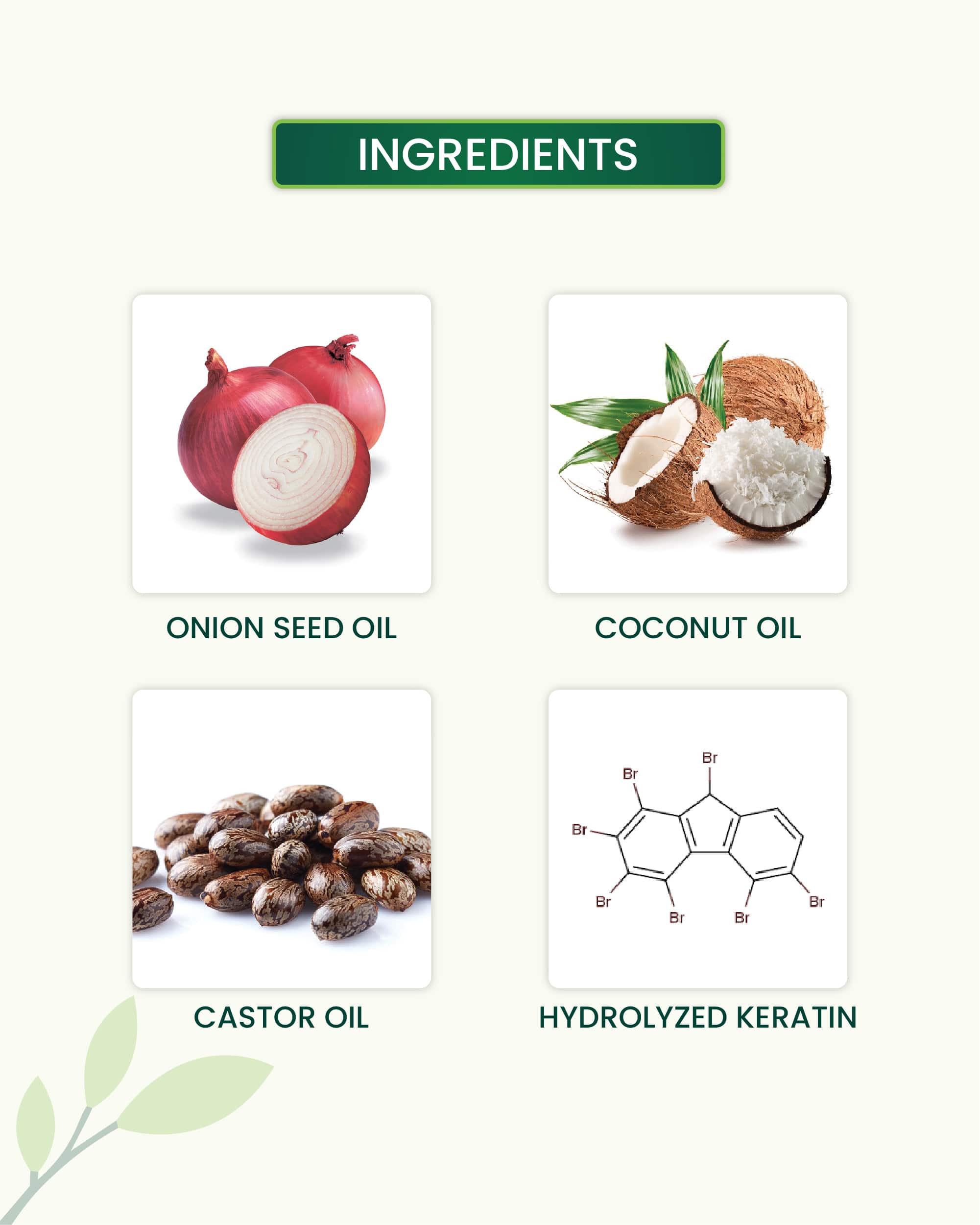 Onion Hair Mask Key Ingredients