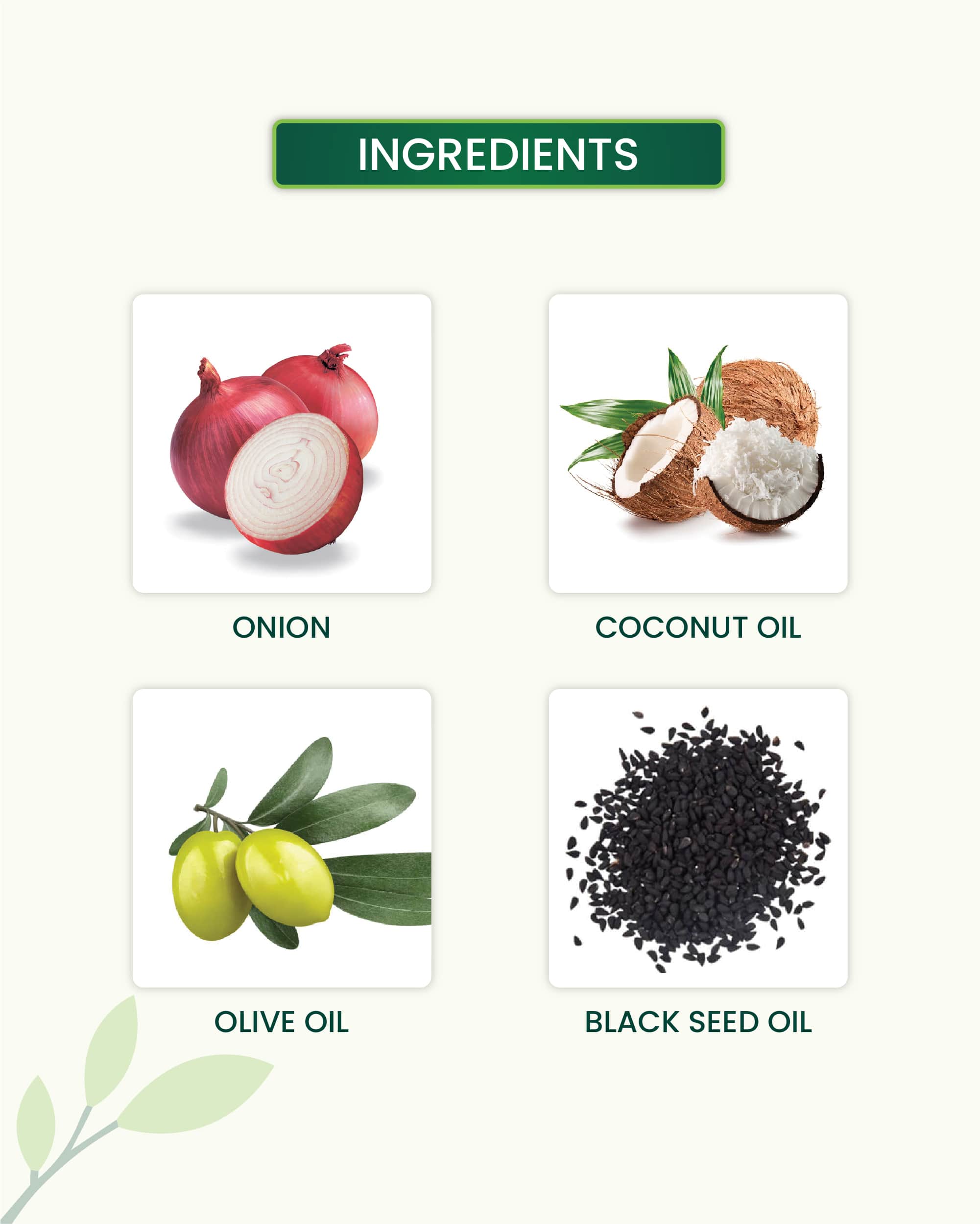 Onion Hair Oil Key Ingredients