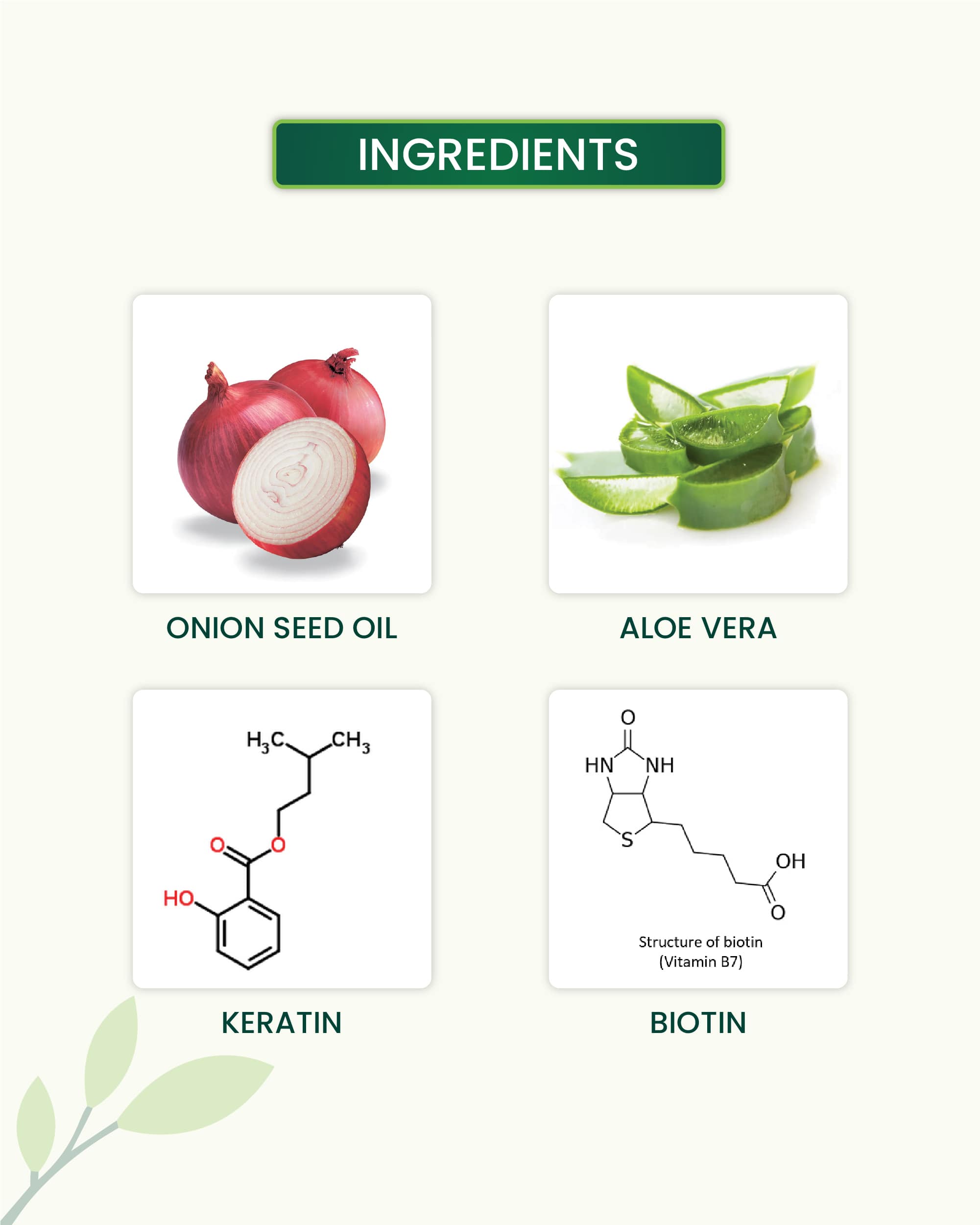 Onion Shampoo Key Ingredients