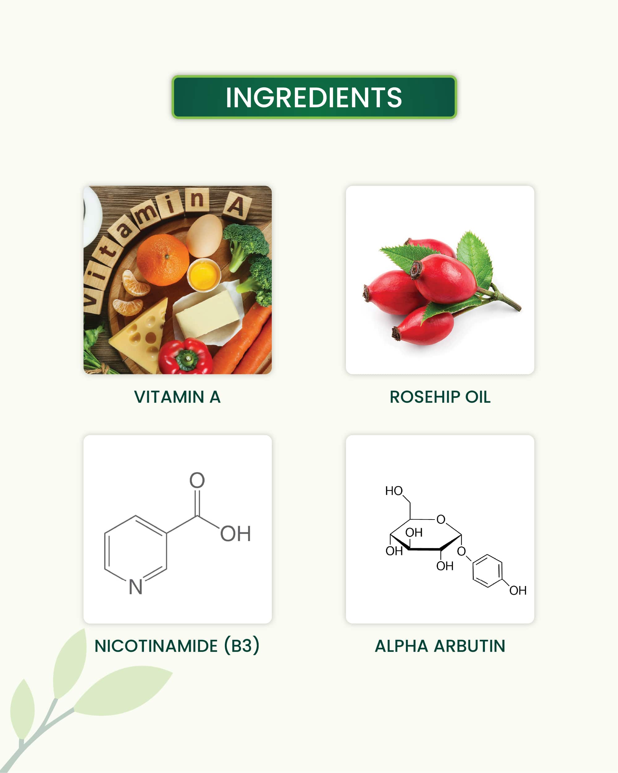 Retinol Face Serum Key Ingredients