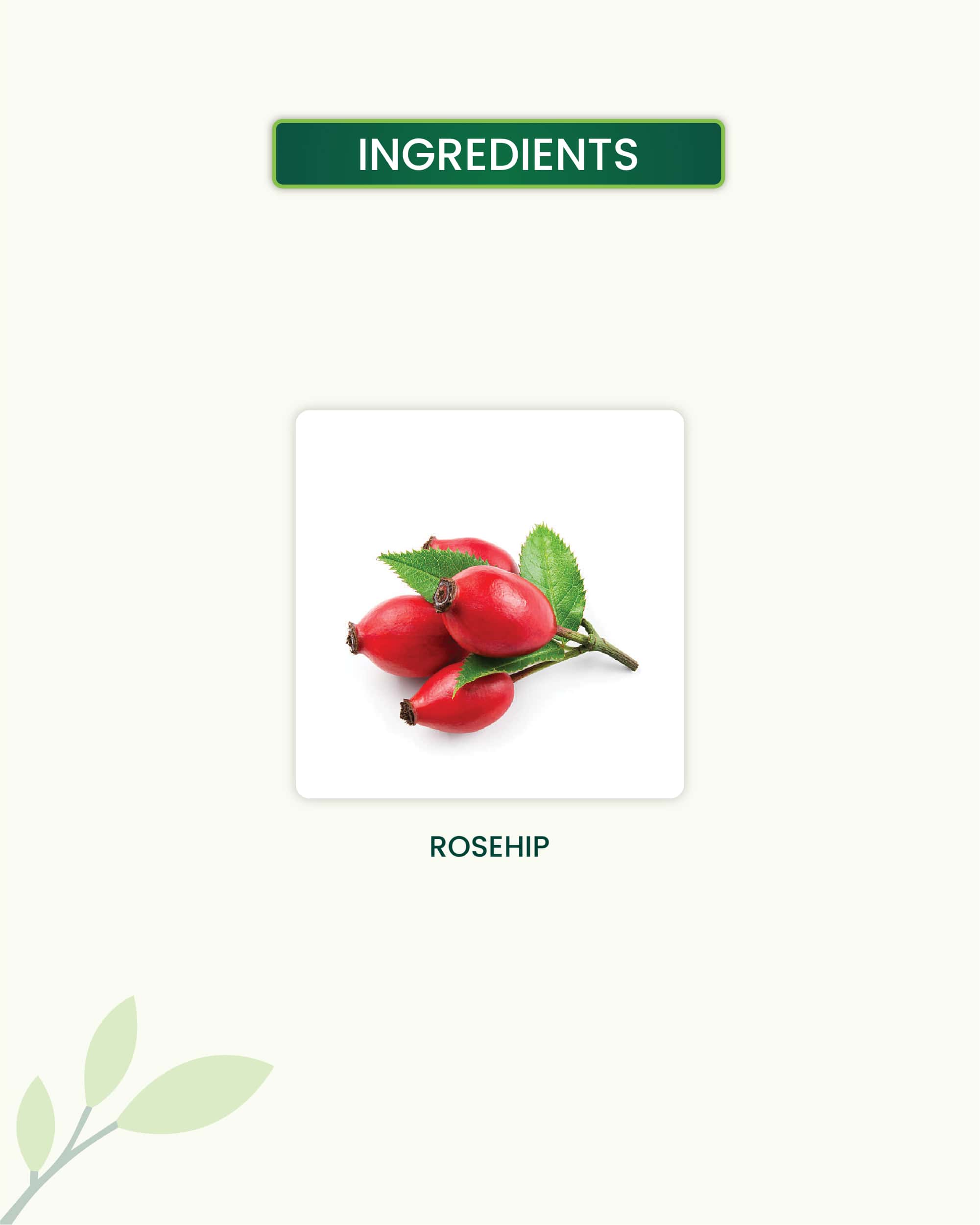 Rosehip Oil Key Ingredients