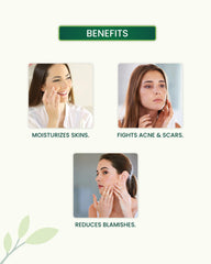 Rosemary Essential Oil Benefits
