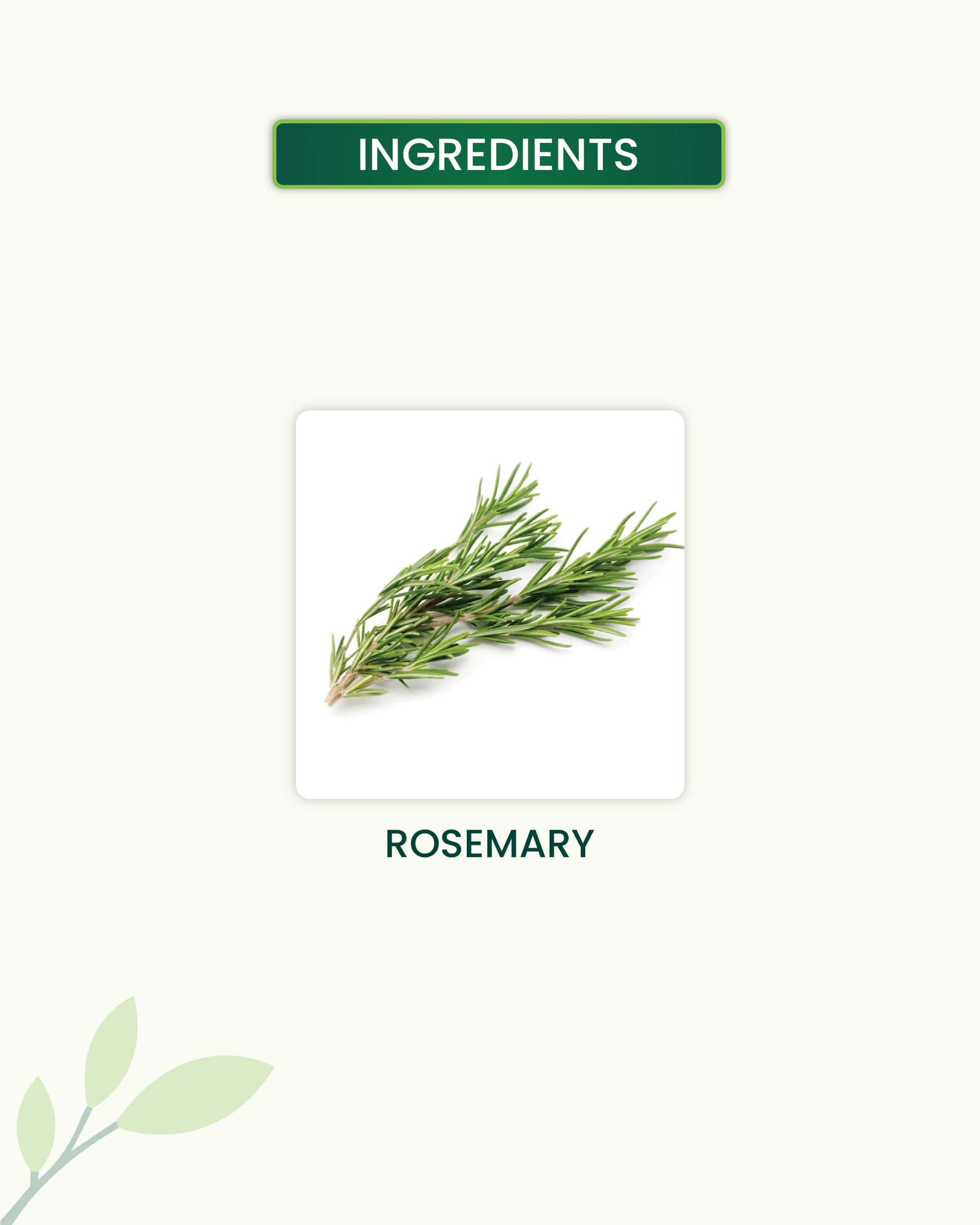 Rosemary Essential Oil Key Ingredients