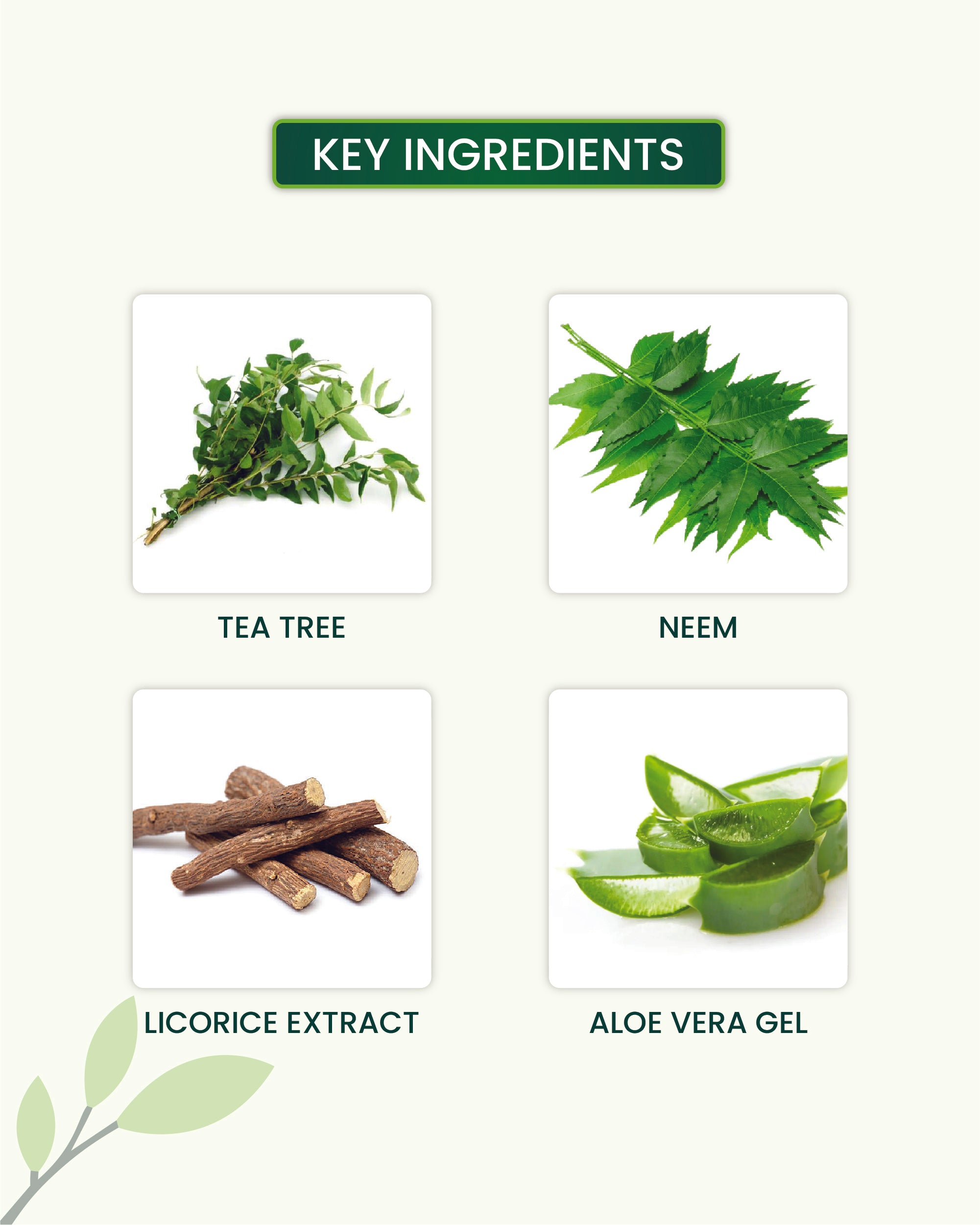 Tea Tree Body Wash Key Ingredients