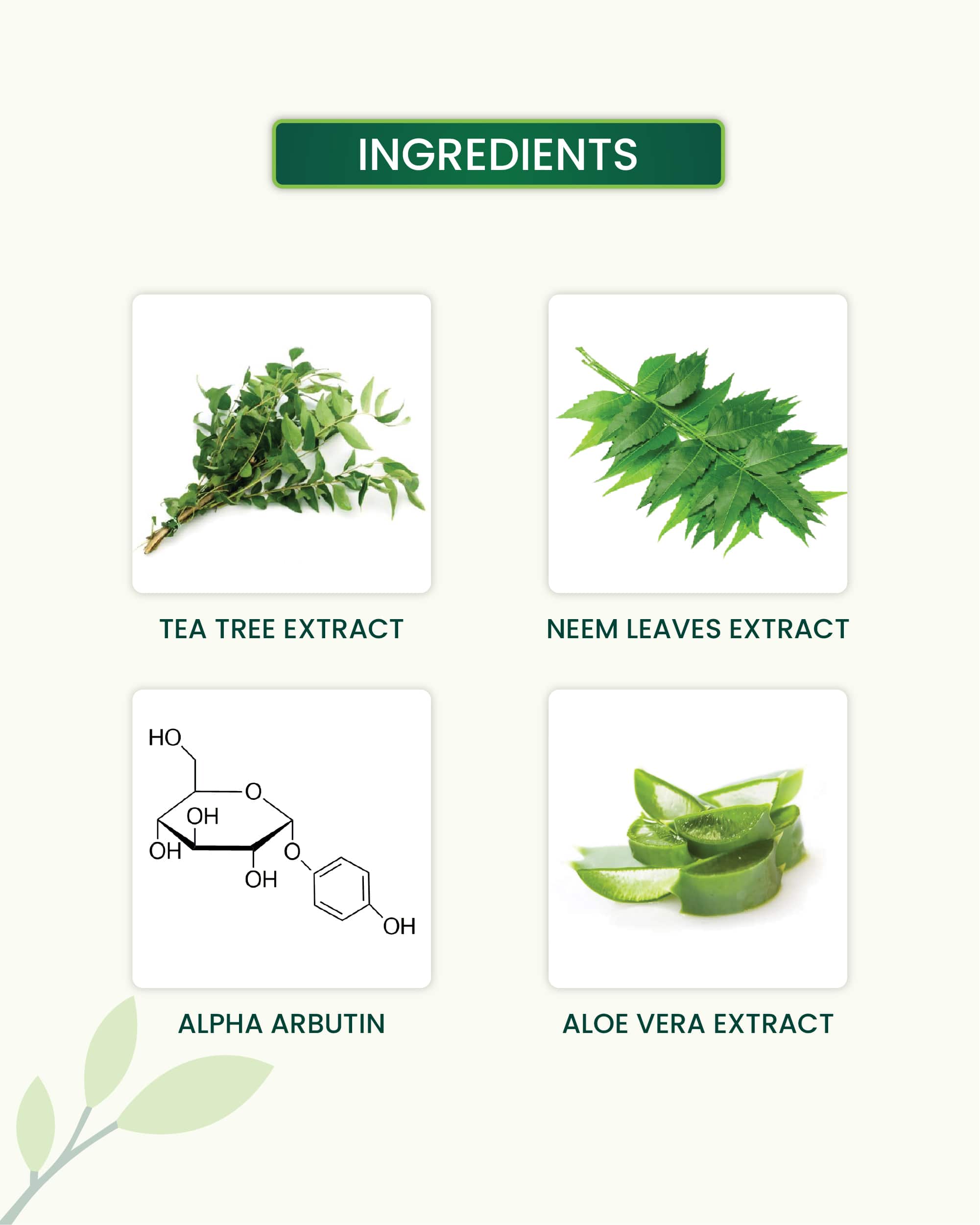 Tea Tree Face Serum Key Ingredients