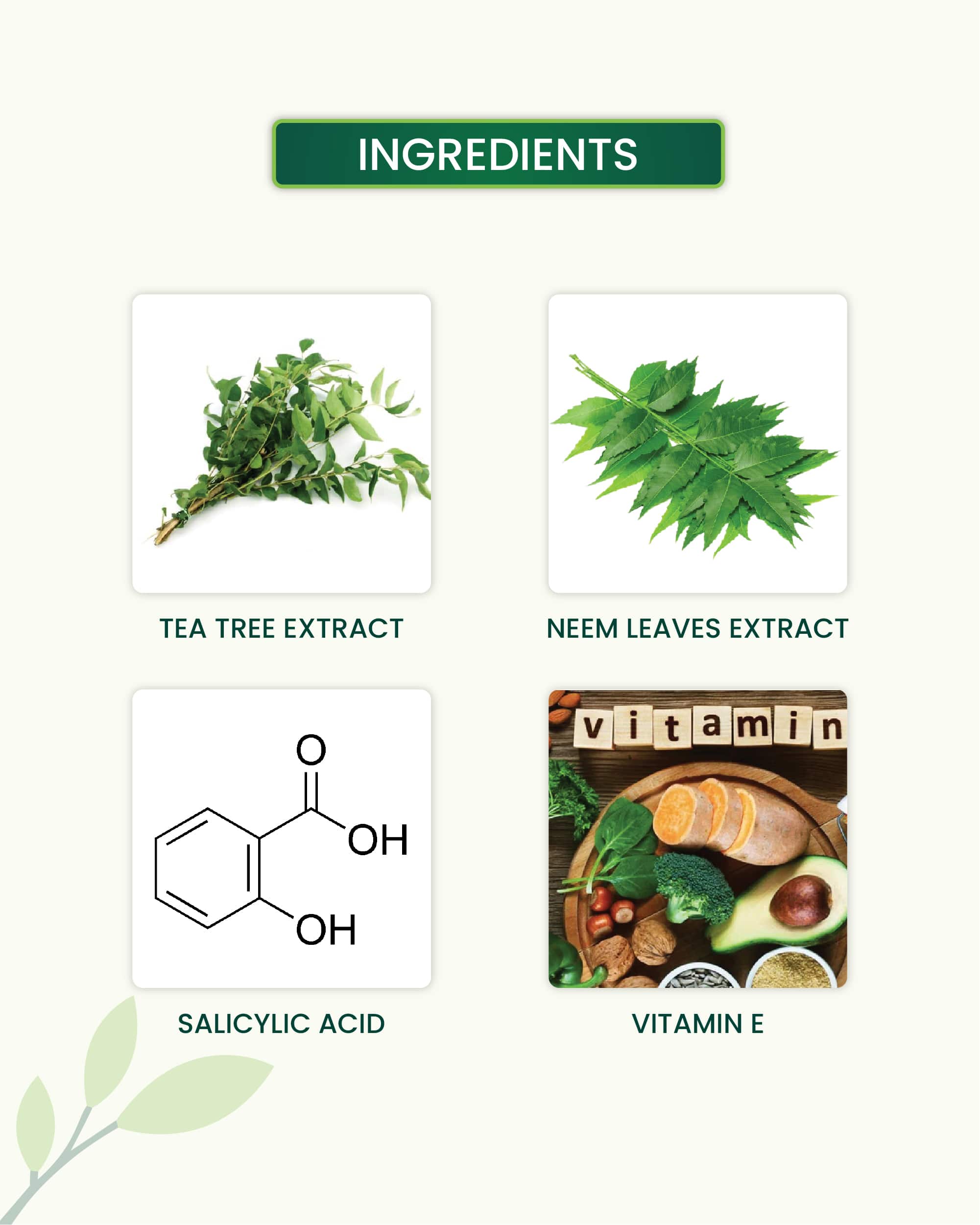Tea Tree Face Wash Key Ingredients