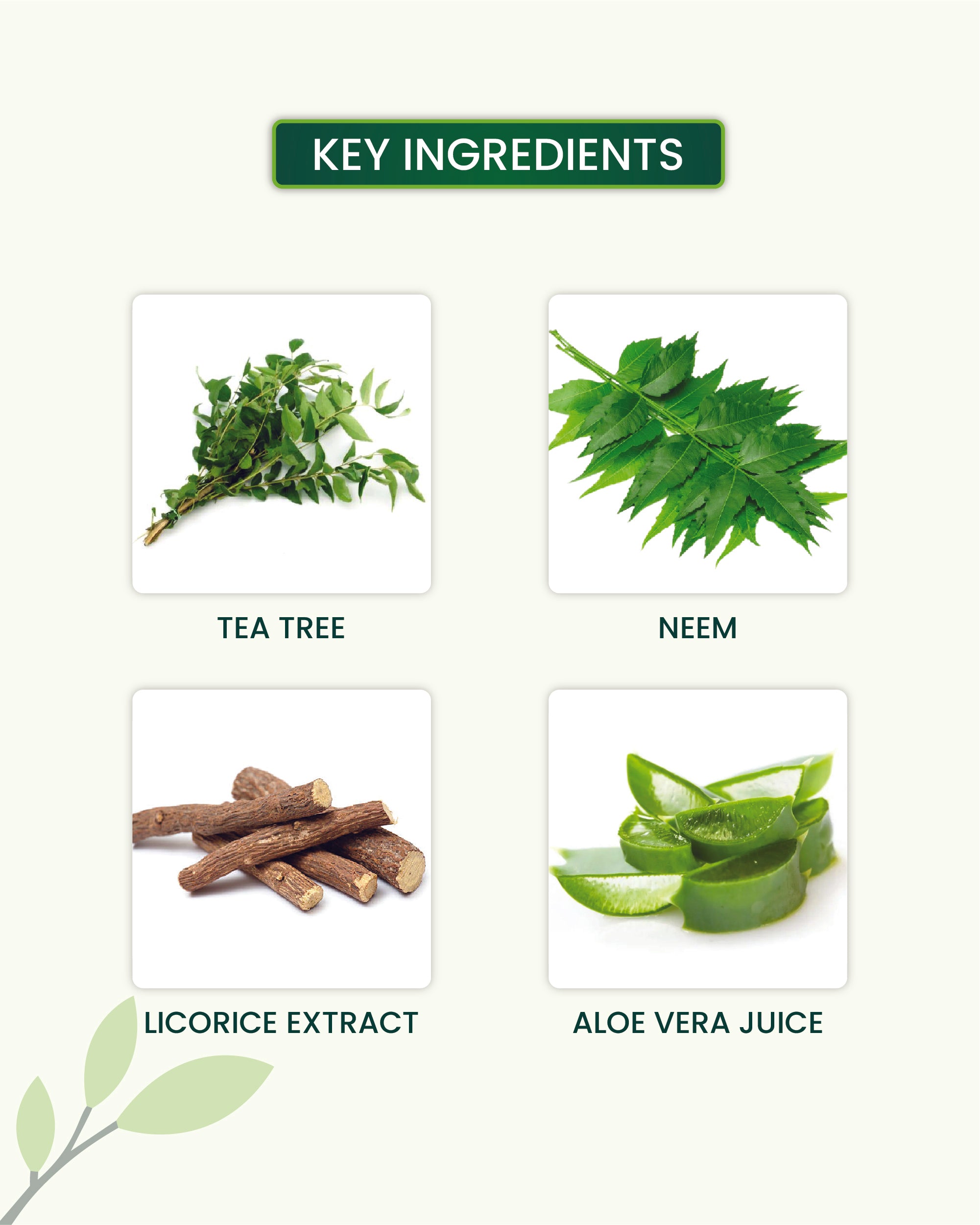 Tea Tree Oil Free Face Moisturizer Key Ingredients