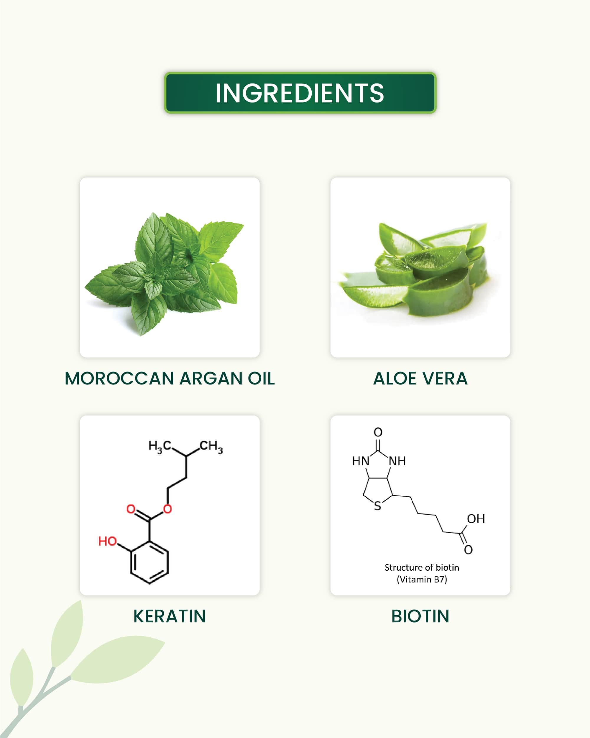 Tea Tree Shampoo Key Ingredients