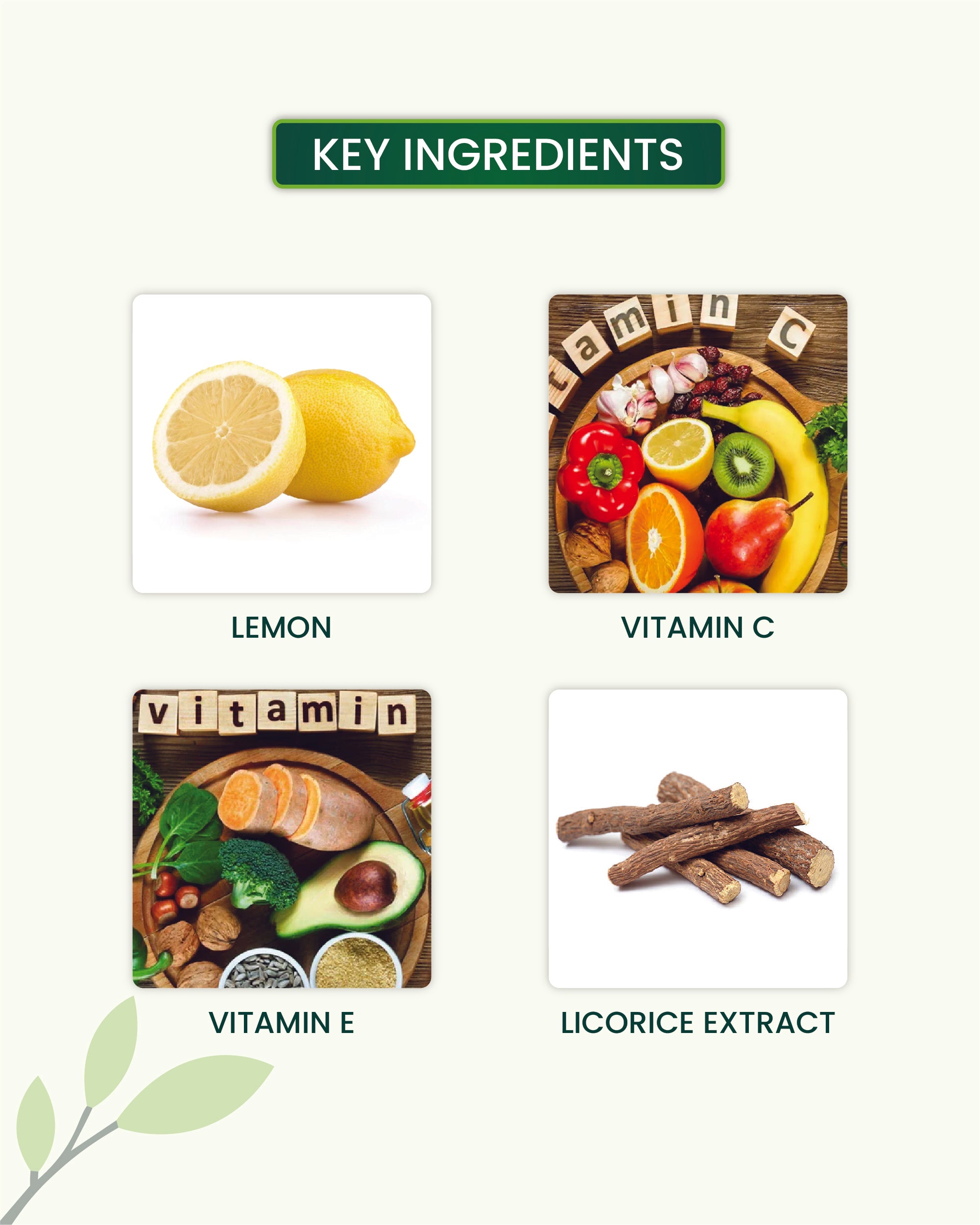 Vitamin C Day Cream Key Ingredients