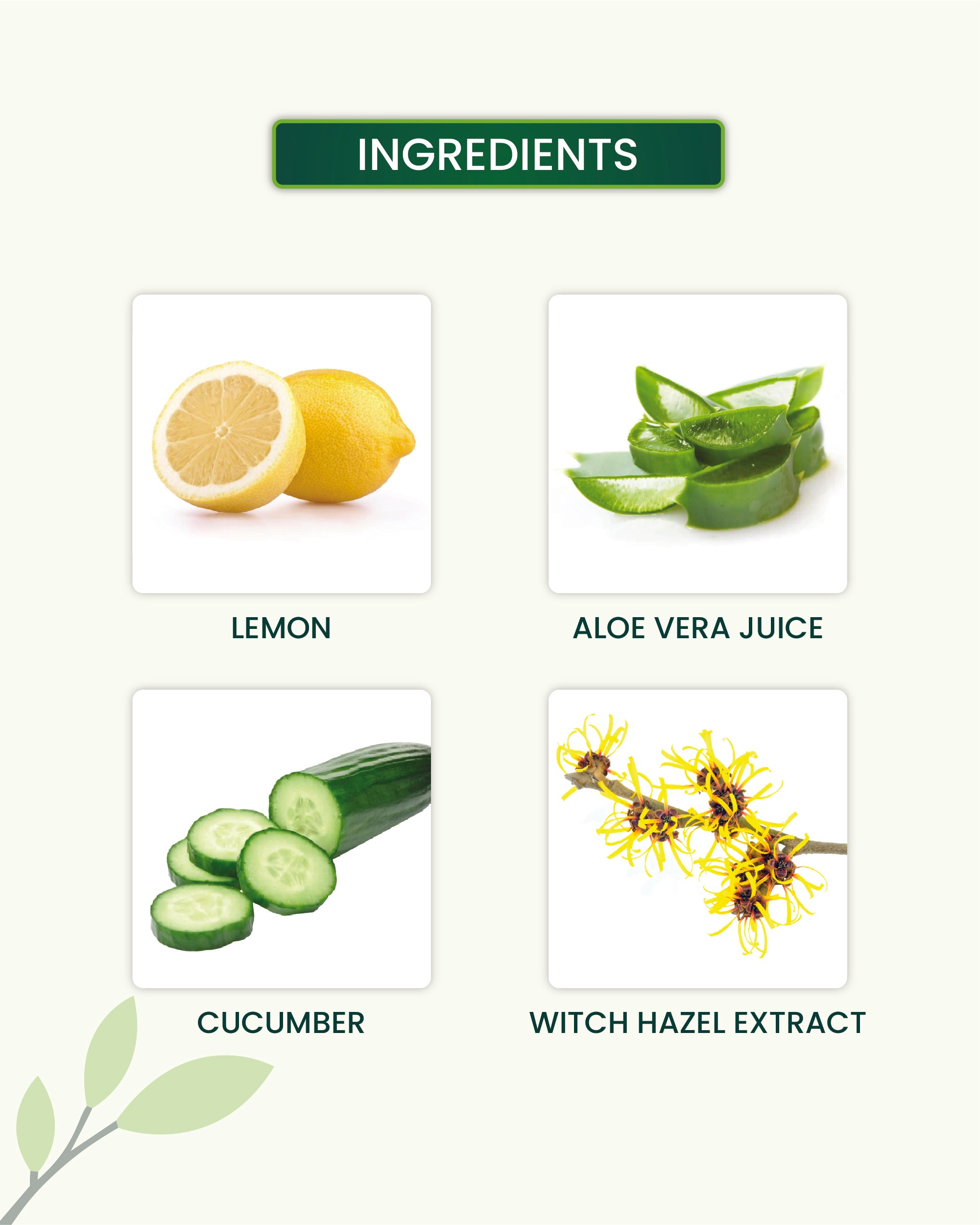 Vitamin C Face Toner Key Ingredients