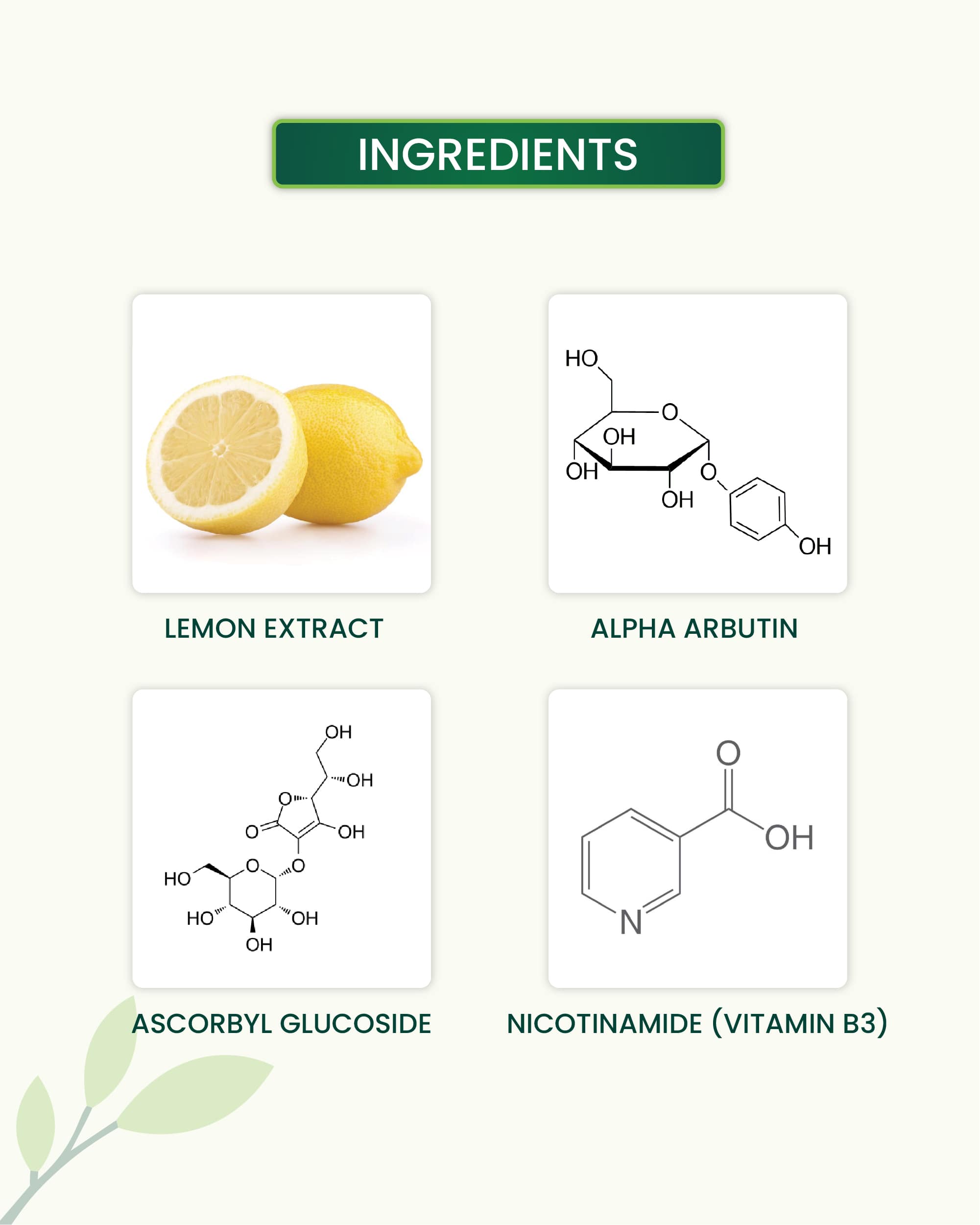 Vitamin C Face Wash Key Ingredients