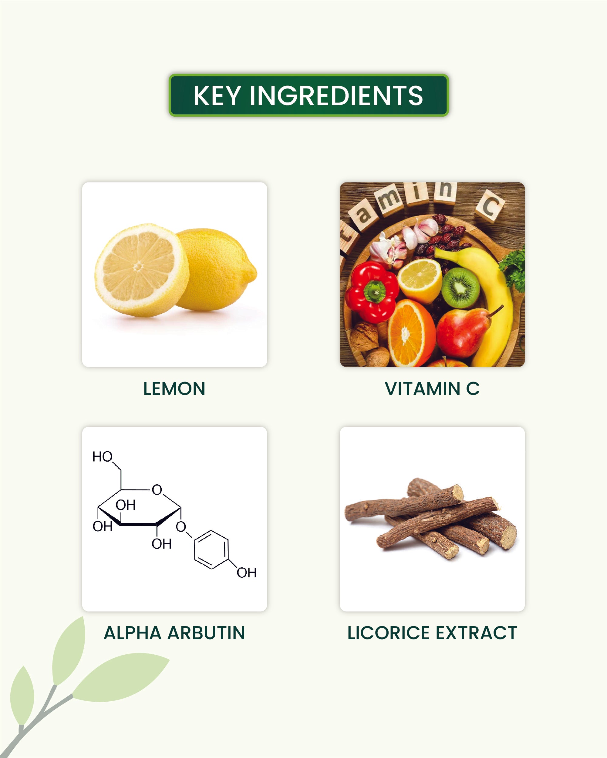 Vitamin C Night Cream Key Ingredients