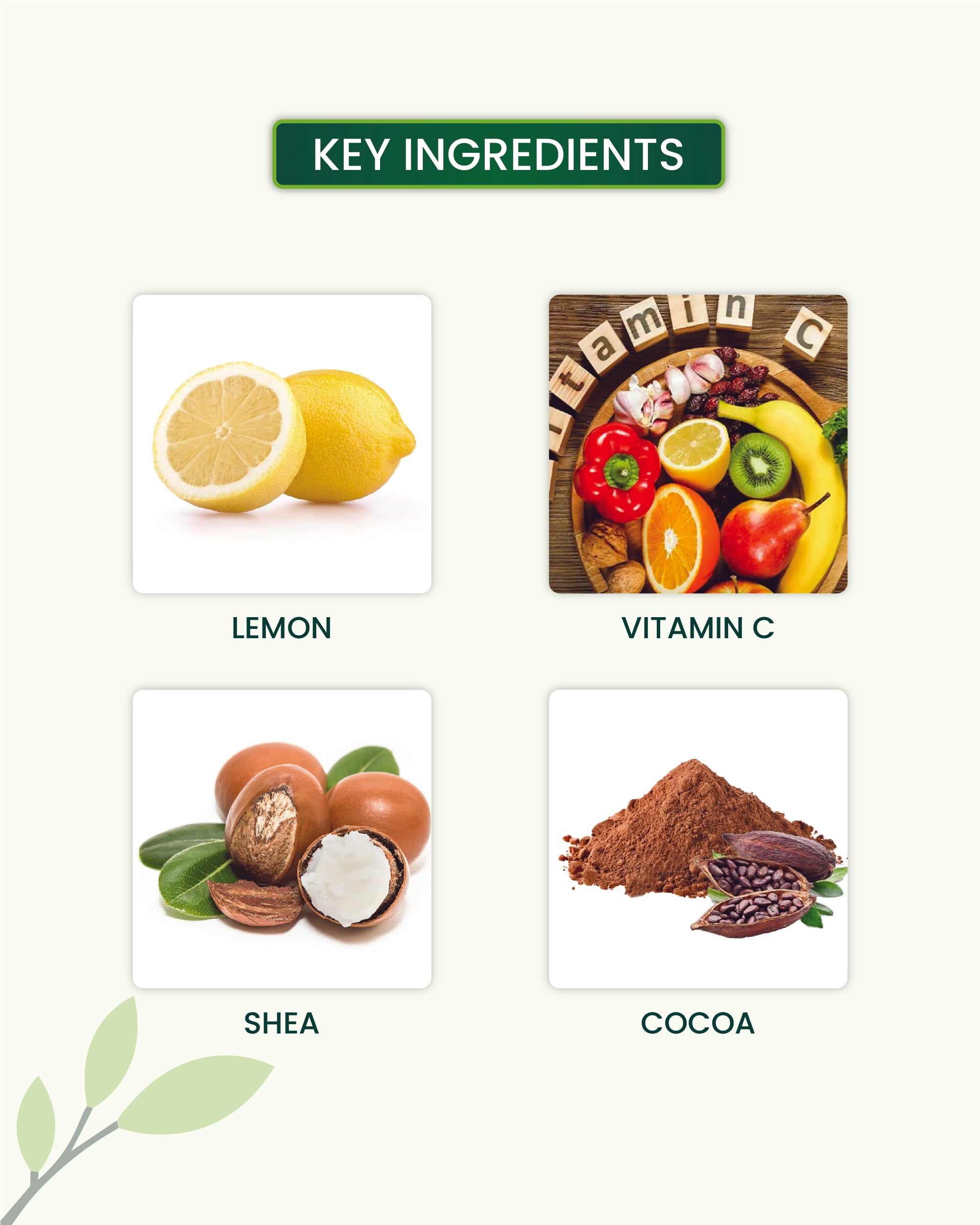 Vitamin C Face Moisturizer Key Ingredients